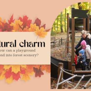 Natural charm - how can a playground blend into forest scenery?