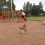 Children's playground with Climbing Booth and spring rider horse.