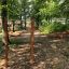 Pull Bars in an outdoor fitness park surrounded by trees