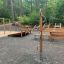 Outdoor fitness equipment Handles in a forest setting