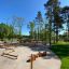 Stumps (3 pcs.) on a playground surrounded by trees and greenery.