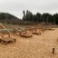Outdoor exercise park with multiple wooden workout stations - Platform 90.