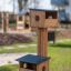 Wooden bird feeder with two compartments in a garden.