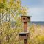 Wooden bird feeder posts installed in a green lawn area near modern buildings.