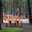 Table Nature with 4 stools in natural wood, placed in a forest playground setting.