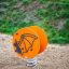 Orange bat-themed spring rocker playground equipment, Bat rocking.