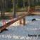 Nature Seesaw on a sandy playground amidst trees.