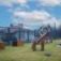 Nature Seesaw wooden playground equipment on grass in outdoor play area.