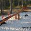 Nature Seesaw on a sandy playground amidst trees.