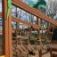 Wooden jungle castle with slide and climbing ropes.