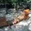Galapagos wooden playhouse with slide in shaded outdoor playground area