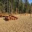 Wooden outdoor exercise equipment 'Stairs' in a forested park setting.