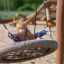 Child swinging on Double Swing Robinia (BNS 90).