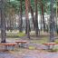Wooden Balance Board outdoor playground equipment with wooden tops and metal springs