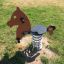 Spring-mounted children's play equipment in the shape of a horse in a park.