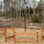 Obstacle Course Mini Ladder outdoor setup in a nature park.