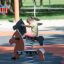Child playing on black Pony rocking spring rider at playground