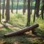 Wooden Ramp for children's playground among trees