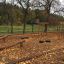 Outdoor wooden playground equipment Ramp surrounded by autumn leaves in a park setting.