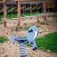 Walrus rocking on spring in a playground.