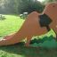Children's playground equipment Camel single slide in a park