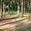 Wooden playground balance beam named Balance in a forest setting.