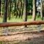 Wooden Balance beam for playgrounds with metal spring supports in a forest setting.