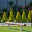 Balance - wooden playground balance beam with springs in a garden setting