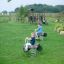 Children playing on Bike rocking spring riders in a playground.