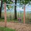 Nature Double Swing in a park setting
