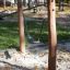 Flexi Seat Single Swing on playground with a sandy base