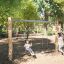 Nature Swing Eco in a forest playground designed for children.