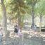 Children playing on the Captain’s Bridge Eco playground equipment in a park.