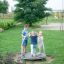 Three children playing on the Bee playground equipment in a park.