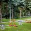 Double Seesaw on a grassy playground with trees in the background.