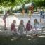 Children playing on the Bridge playground equipment in a park.