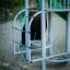 Children's Ladybird playhouse with slide surrounded by sand.