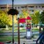Steel structure Beetle playhouse with slide in a park setting.