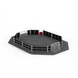 Miniarena Octagonal II