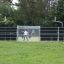 Stamford Bridge sports court with people playing soccer and basketball outside.