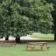 Larchwood Table & Bench in a park setting under blooming trees.