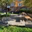 Outdoor picnic area with Table & Bench on a paved surface in a park.