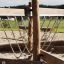 Kongo wooden playground equipment with rope bridges.