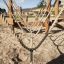 Rope climbing structure on a playground Kongo in sunny weather.