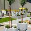 Decorative concrete planter Alex with a tree in a landscaped area