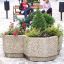 Stone planter with different plants and flowers, two kids sitting on a wooden bench in the backgroun