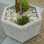 Hexagonal concrete planter Alex with plants and stones.