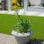 Plant in Bell stone planter on a paved patio in a modern garden.