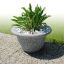 Bell garden planter with green plant on stone pathway