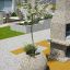Tree in Globe stone planter in a modern garden setting.